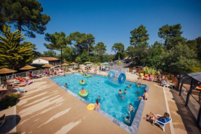 les pins de la coubre